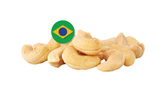cashew nut powder